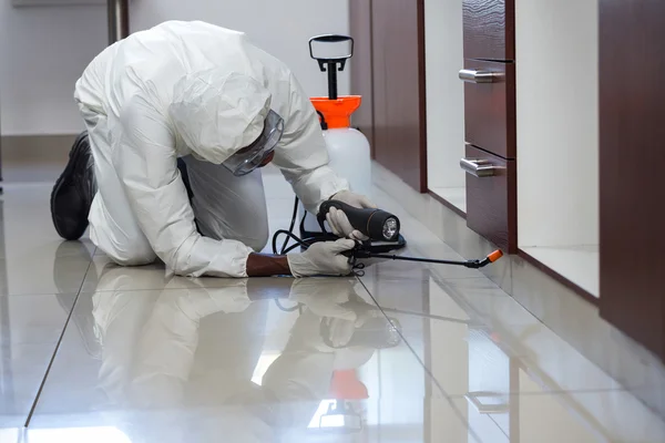 Elevate Your Living Quality with Pest Control Las Vegas post thumbnail image