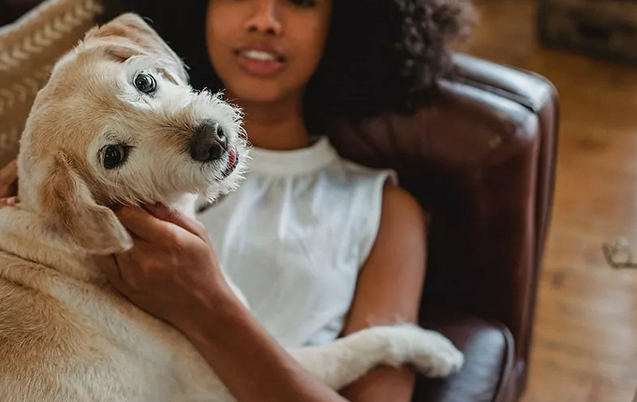 Tail-Wagging Retreat: Luxury Dog-Friendly Living in Fort Collins post thumbnail image