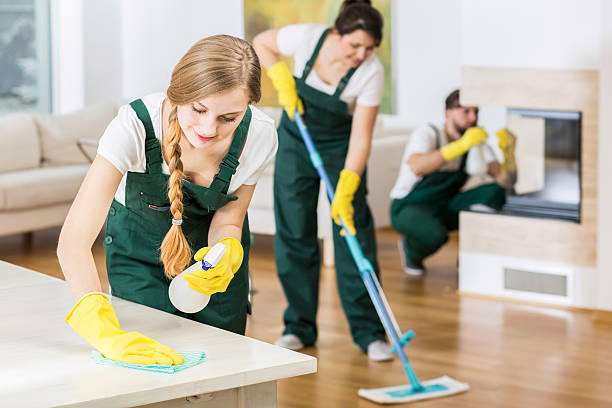 Find the Best Housekeeping Services Near Me post thumbnail image