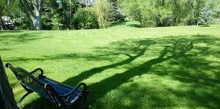 Denver’s Green Revolution: Sustainable Lawn Care Practices post thumbnail image