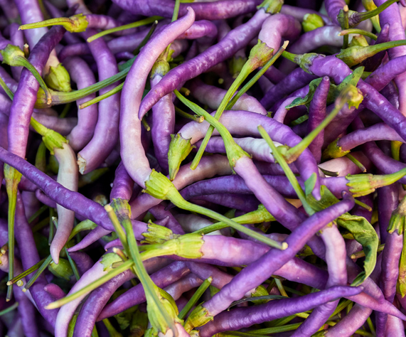 Growing Purple Cayenne Pepper: Tips and Tricks for Success post thumbnail image