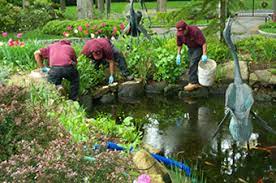 Garden Pond Elegance: Professional Cleaning Solutions post thumbnail image