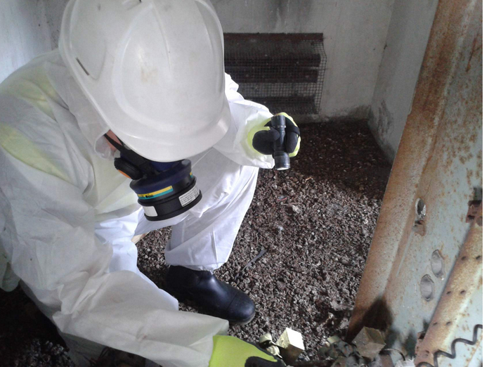 Professional Asbestos Survey Assessments for Peace of Mind post thumbnail image