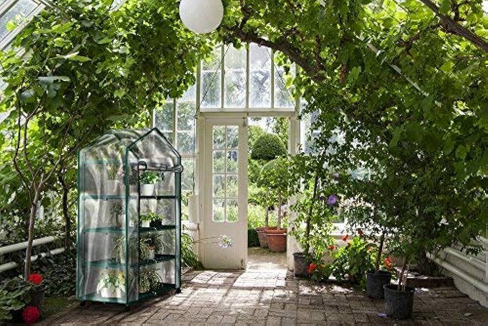 Finding Quality Greenhouses for Sale Online post thumbnail image
