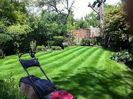 Grounds Maintenance Marvels: Cultivating Beauty Across London post thumbnail image