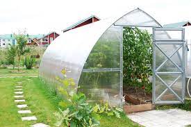 Greenhouse Harvest: Growing Your Own Oasis post thumbnail image